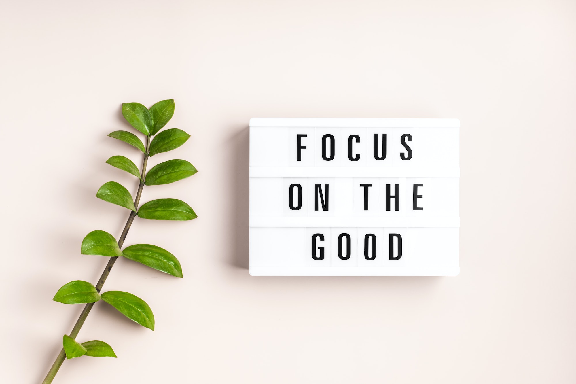 Lightbox with text focus on the good. Mental health, positive thinking idea